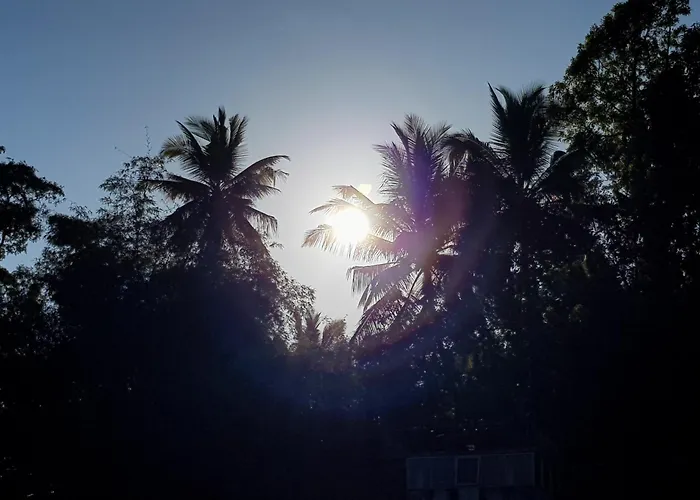 Lush Breeze